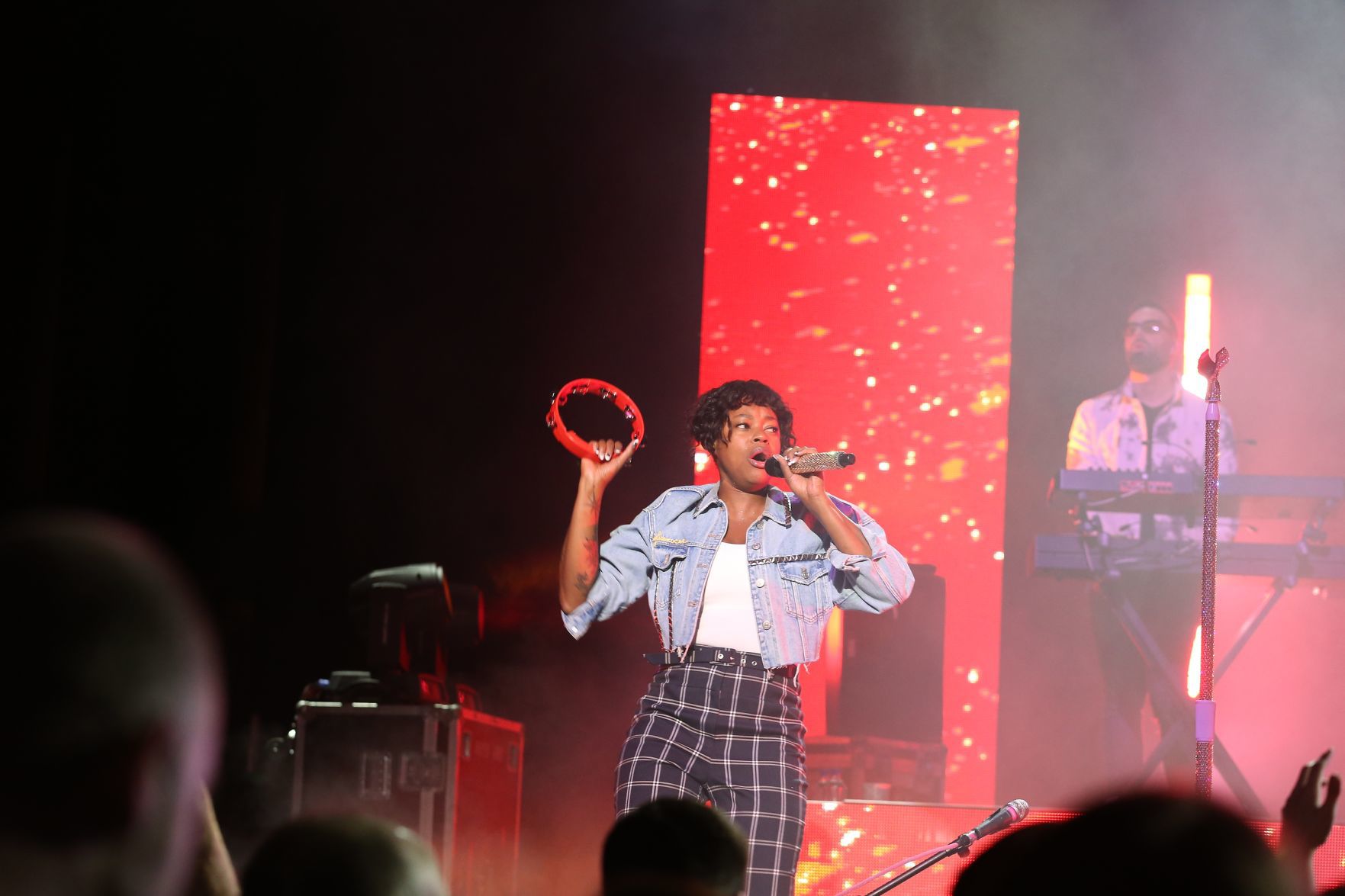 Fitz and the Tantrums